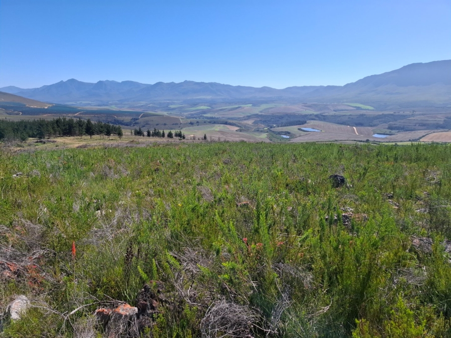  Bedroom Property for Sale in Riversdale Rural Western Cape